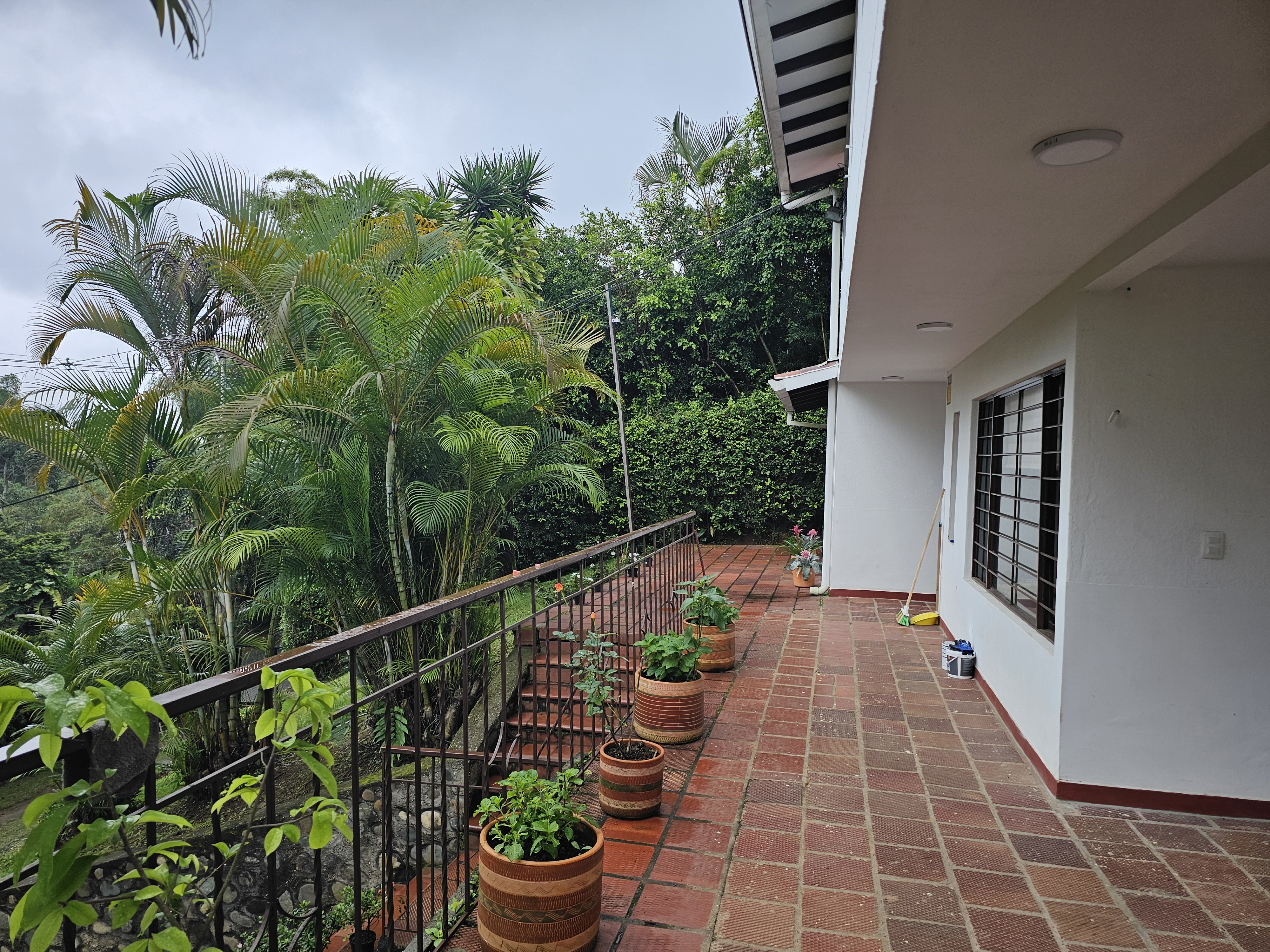 Grounds and terrace